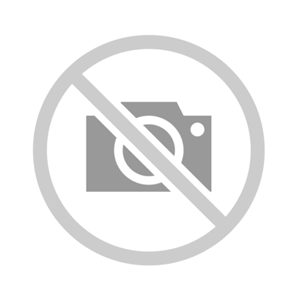 کیف مخصوص انسولین 2 ویال